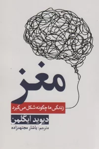 مغز