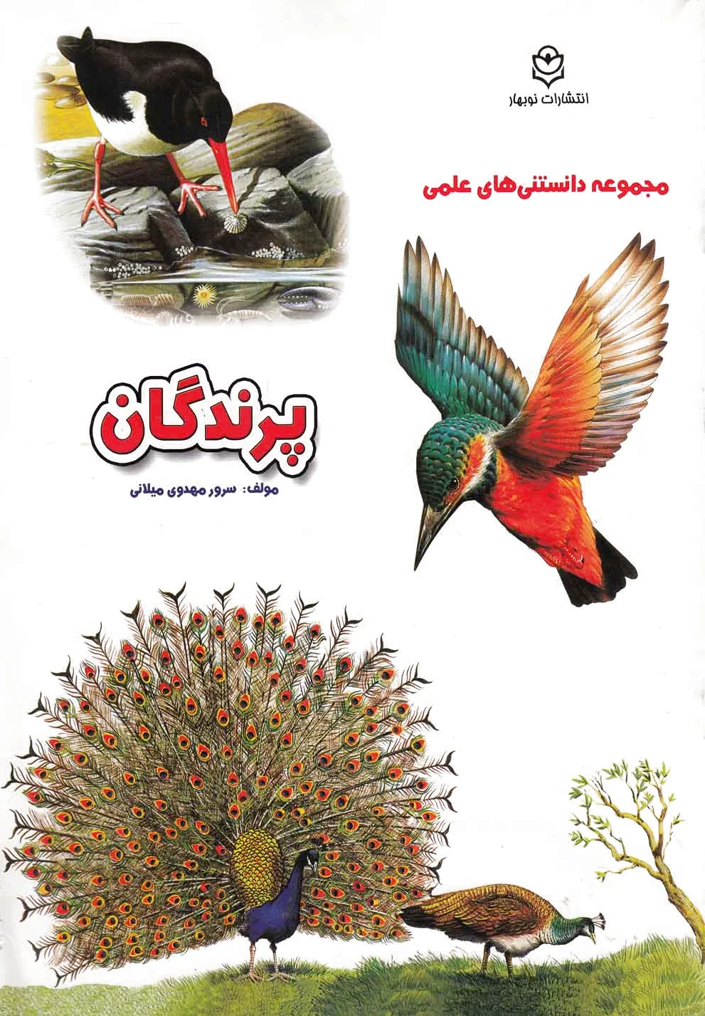 پرندگان