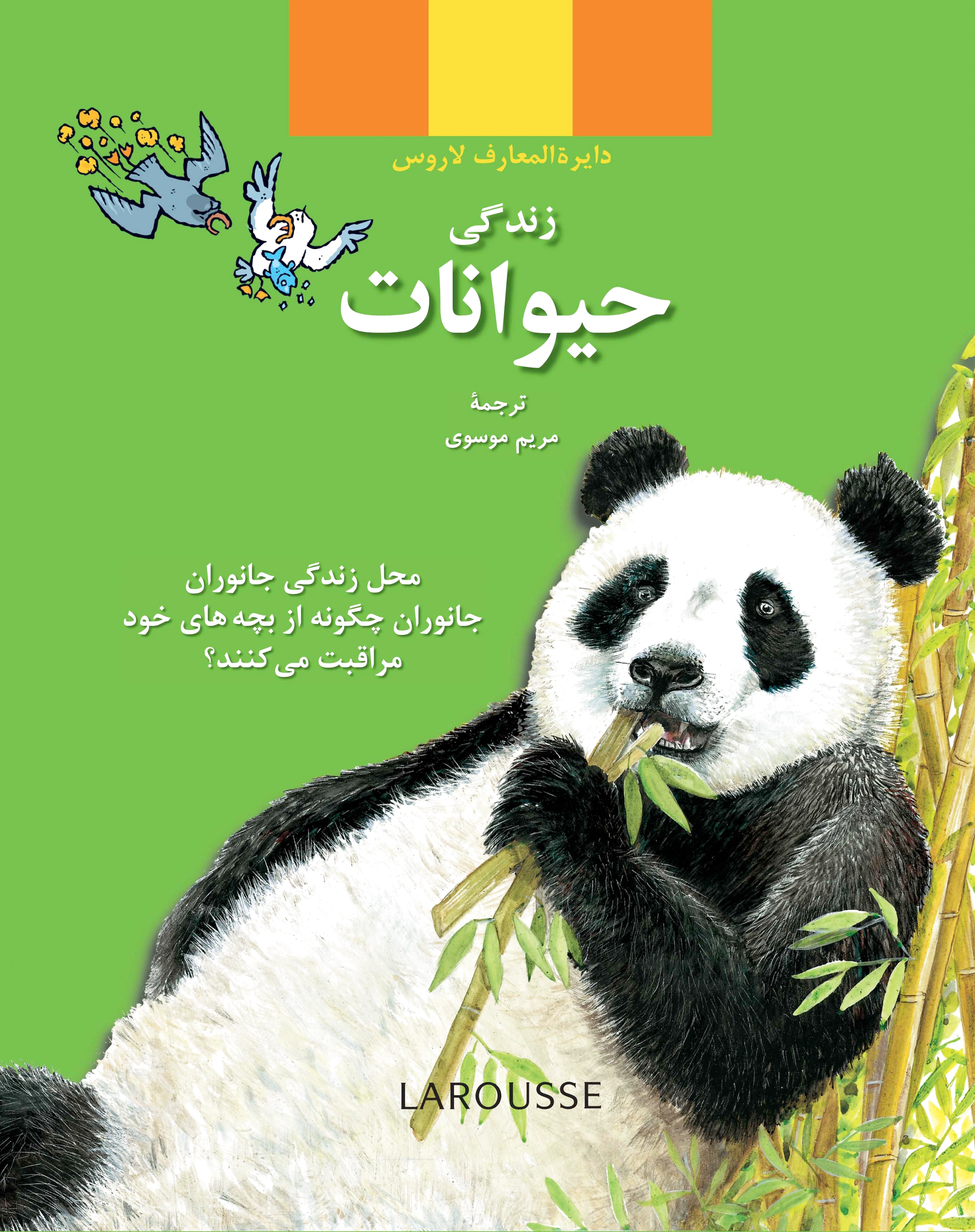 زندگی حیوانات