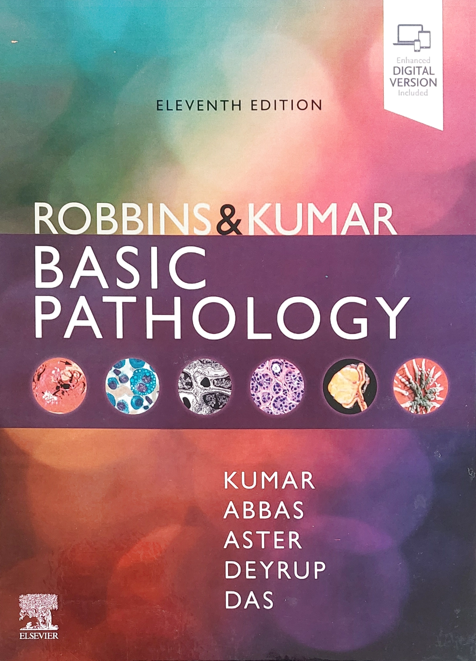 Robbins Basic Pathology