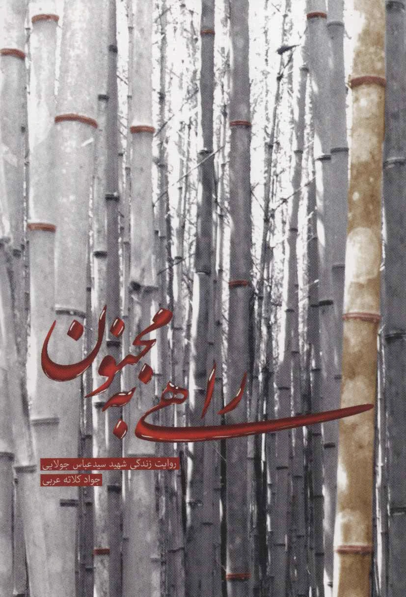 راهی به مجنون
