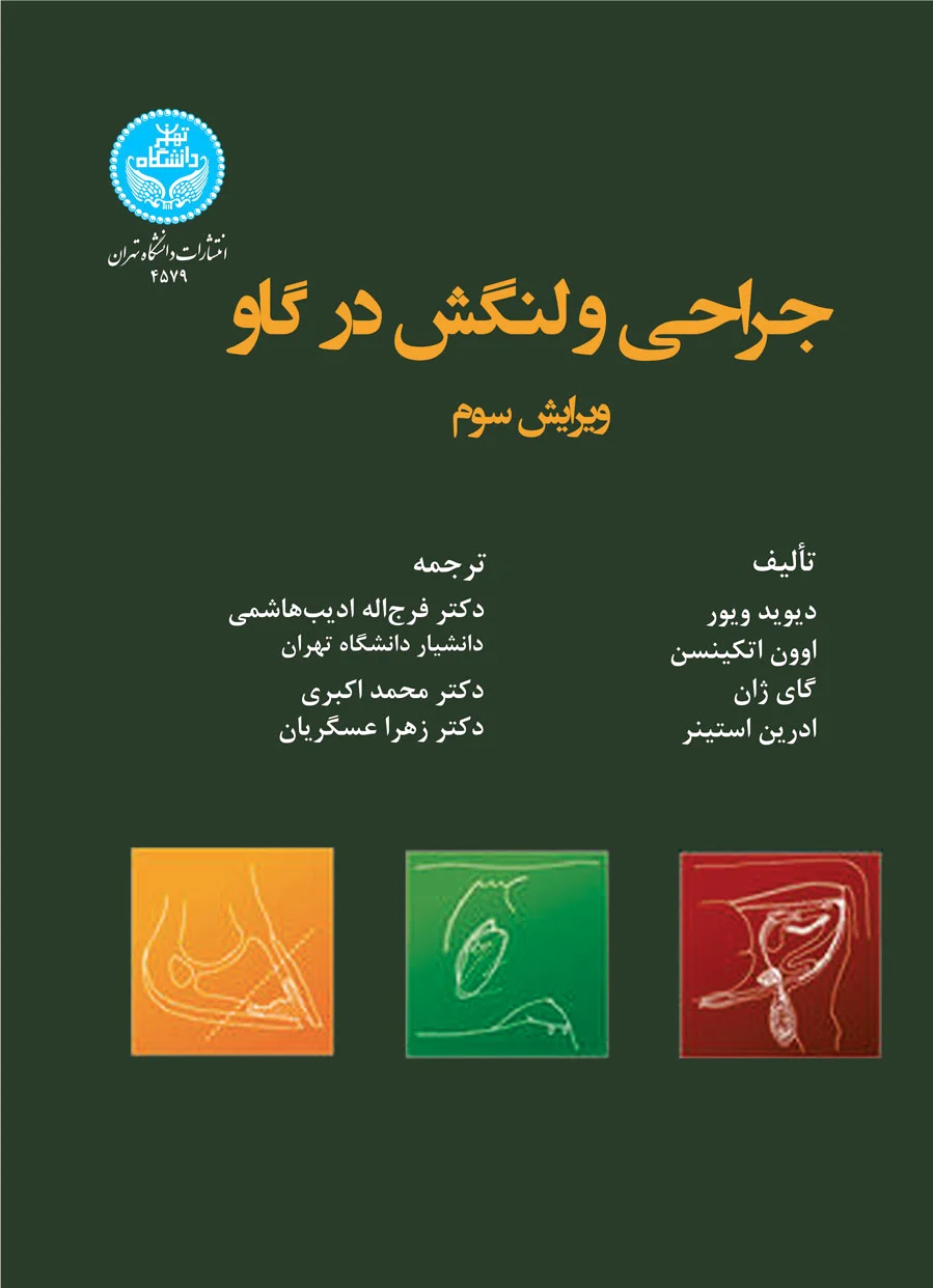 جراحی و لنگش در گاو