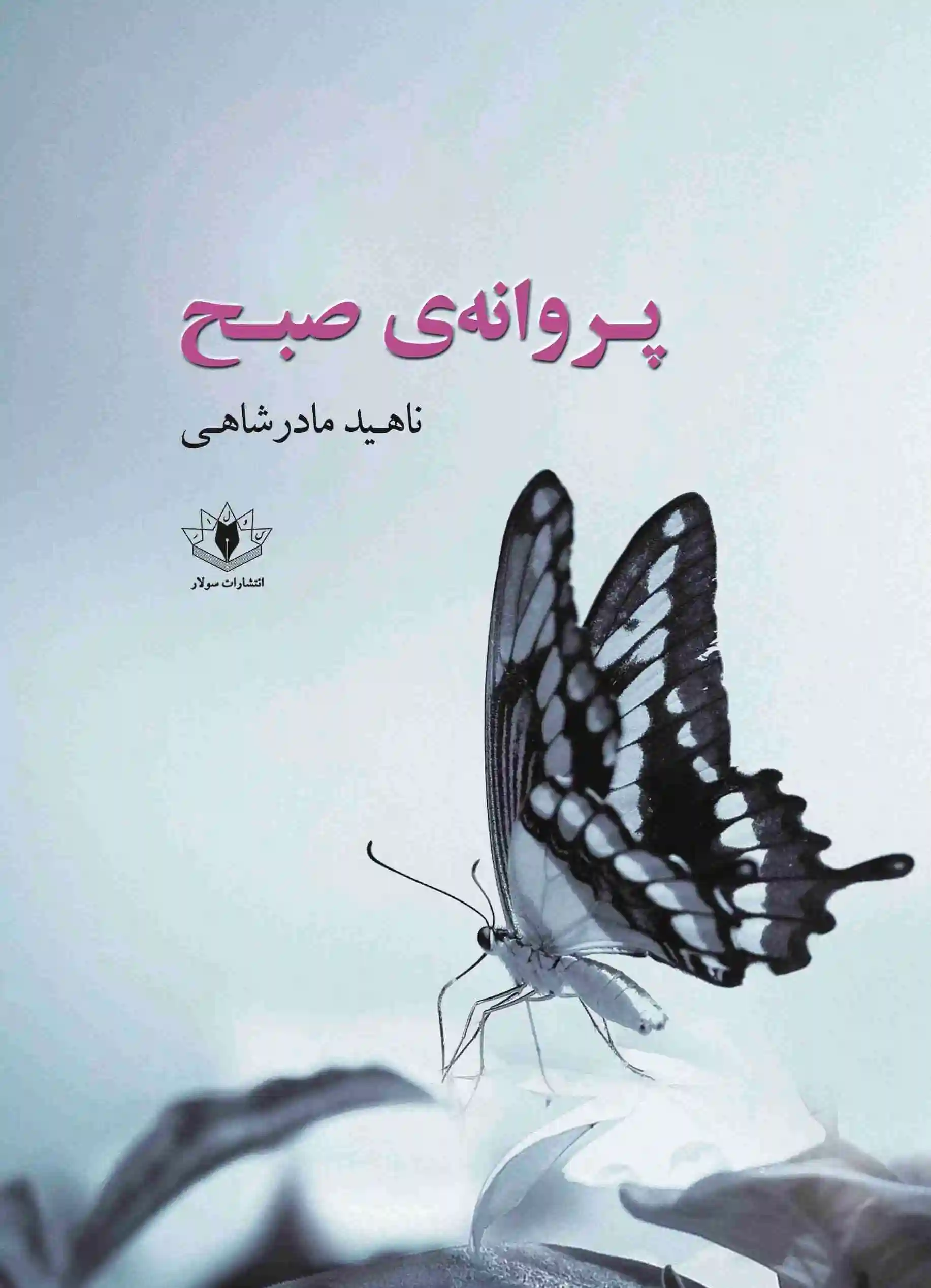 پروانه‌ی صبح