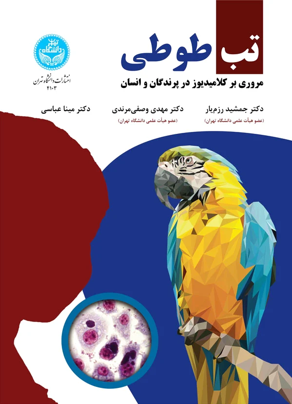 تب طوطی