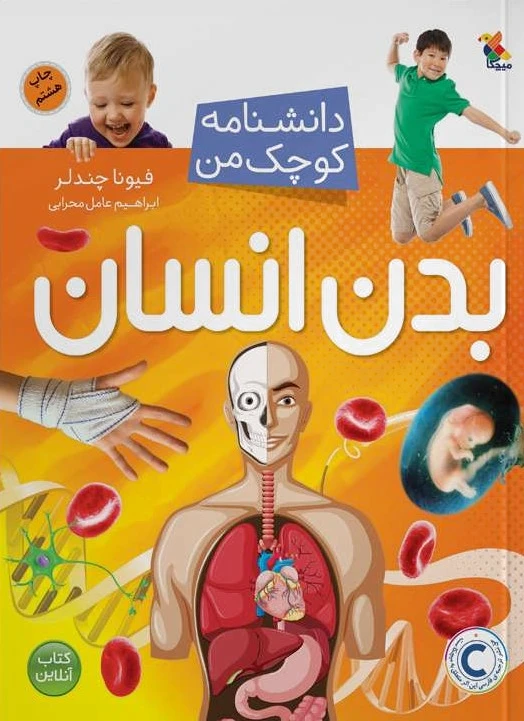 بدن انسان