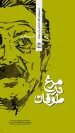 مرغ در طوفان