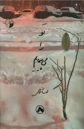 تو را می پیمایم