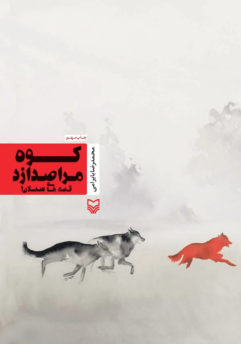 کوه مرا صدا زد