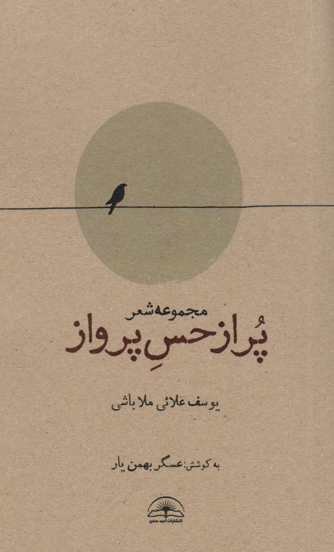 پر از حس پرواز
