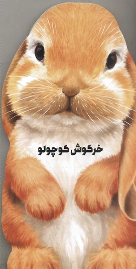 خرگوش کوچولو