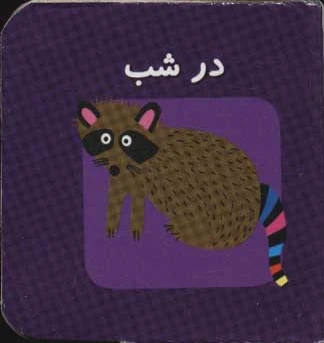 در شب