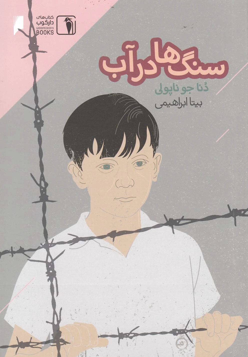 سنگ ها در آب