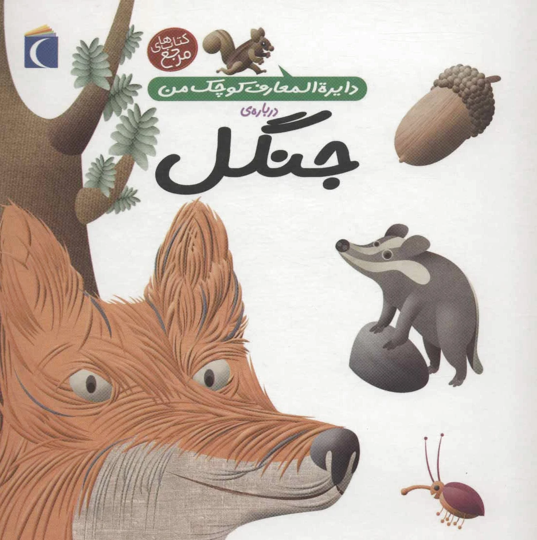 درباره ی جنگل