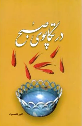 در تکاپوی صبح