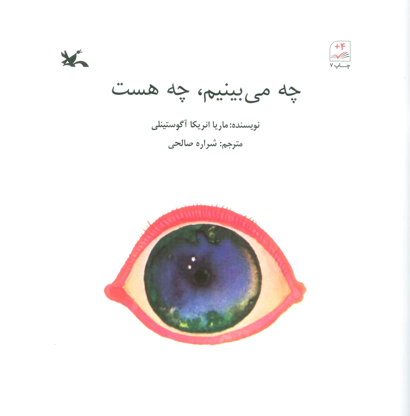 چه می بینم ، چه هست
