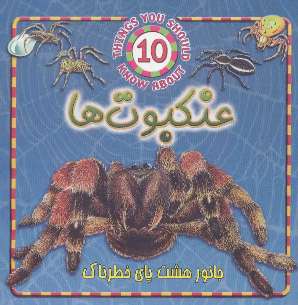 عنکبوت ها