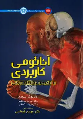 آناتومی کاربردی