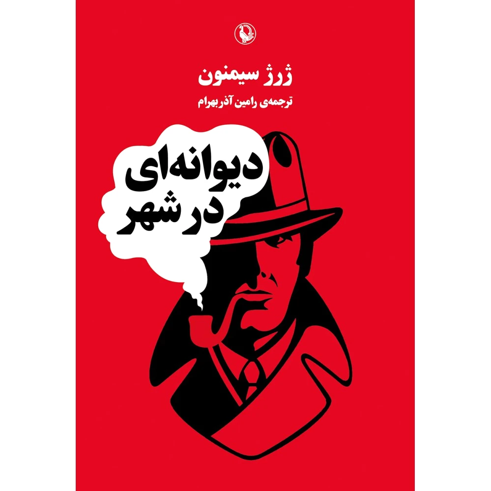 دیوانه ای در شهر