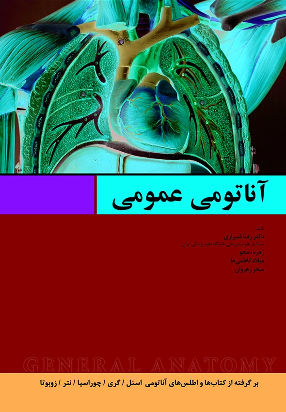 آناتومی عمومی