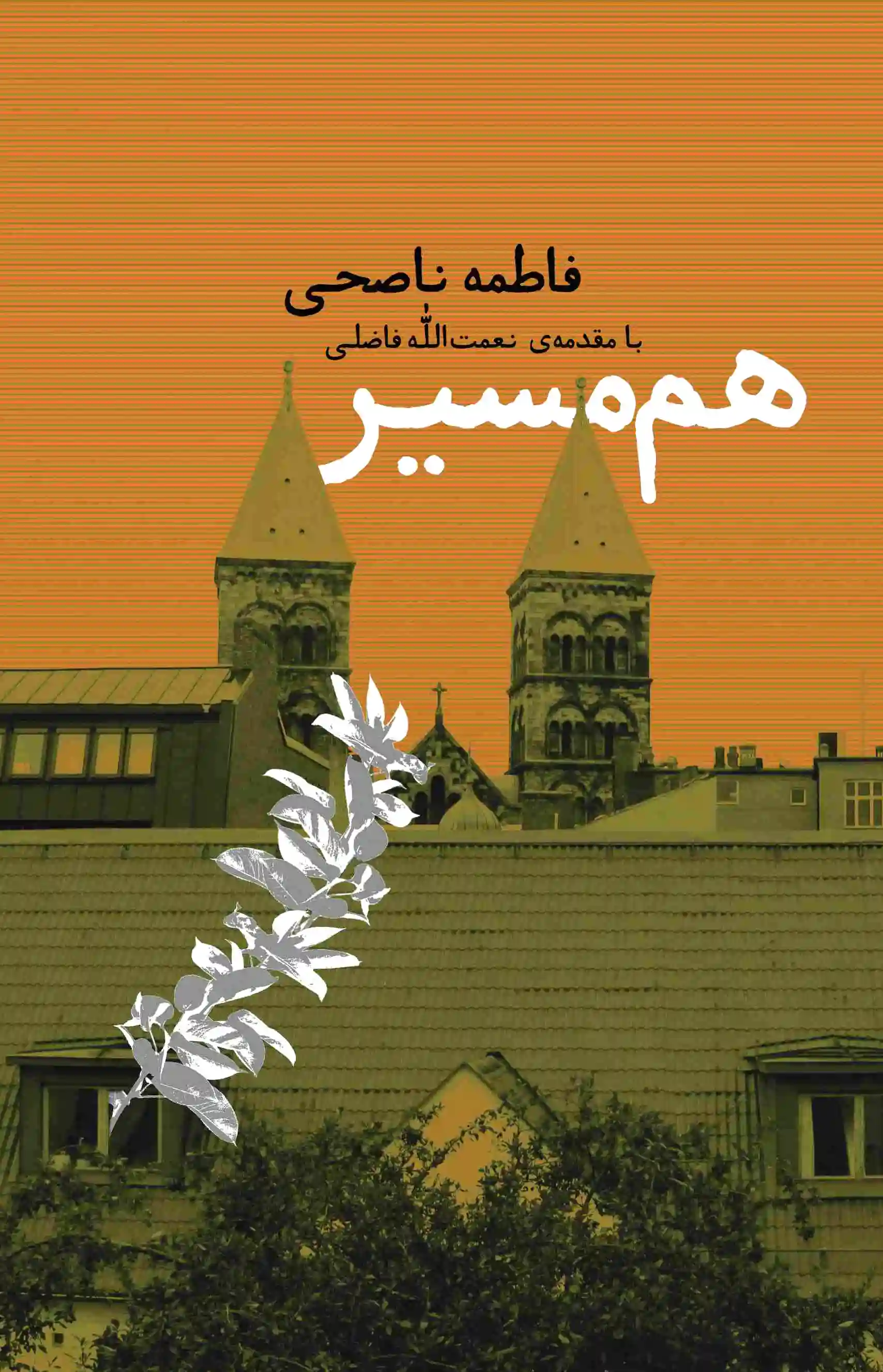 هم مسیر