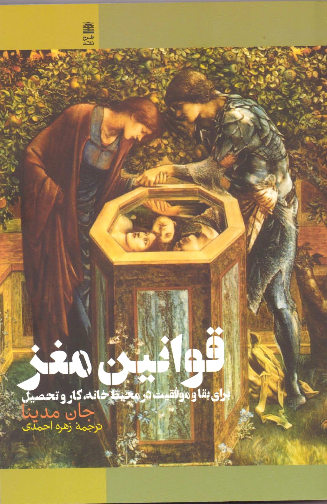 قوانین مغز