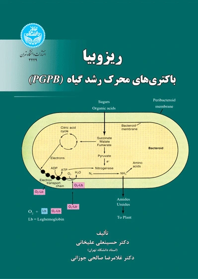 ریزوبیا