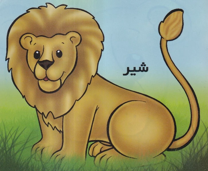 شیر