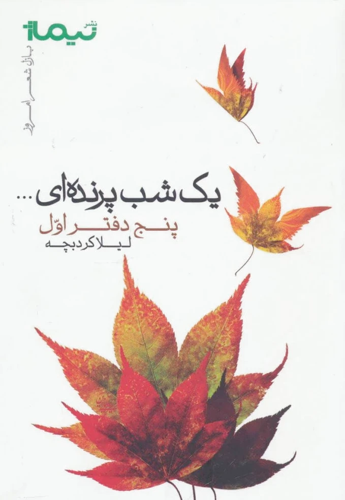 یک شب پرنده ای...