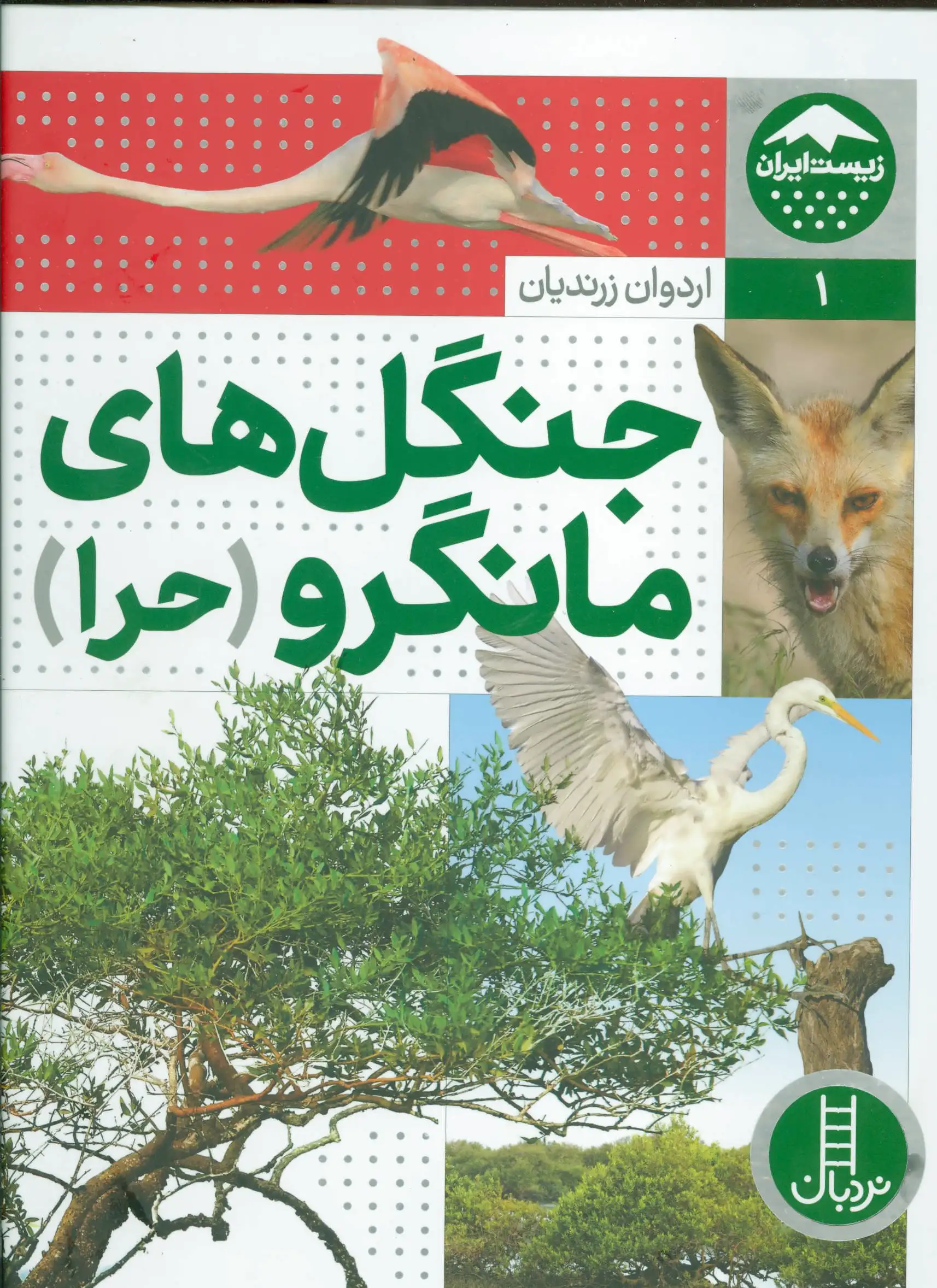 جنگل های مانگرو