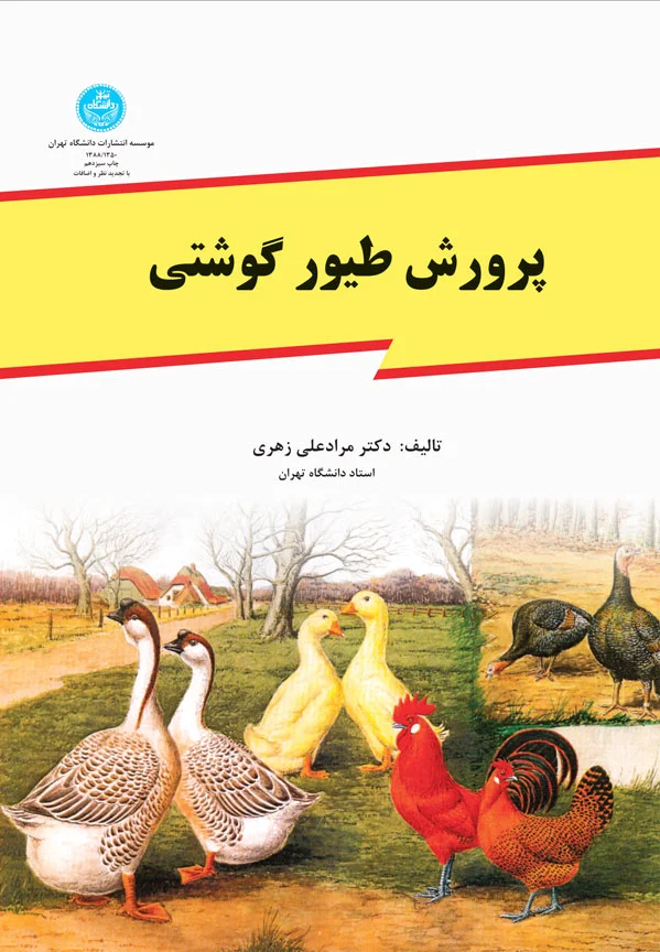 پرورش طیور گوشتی