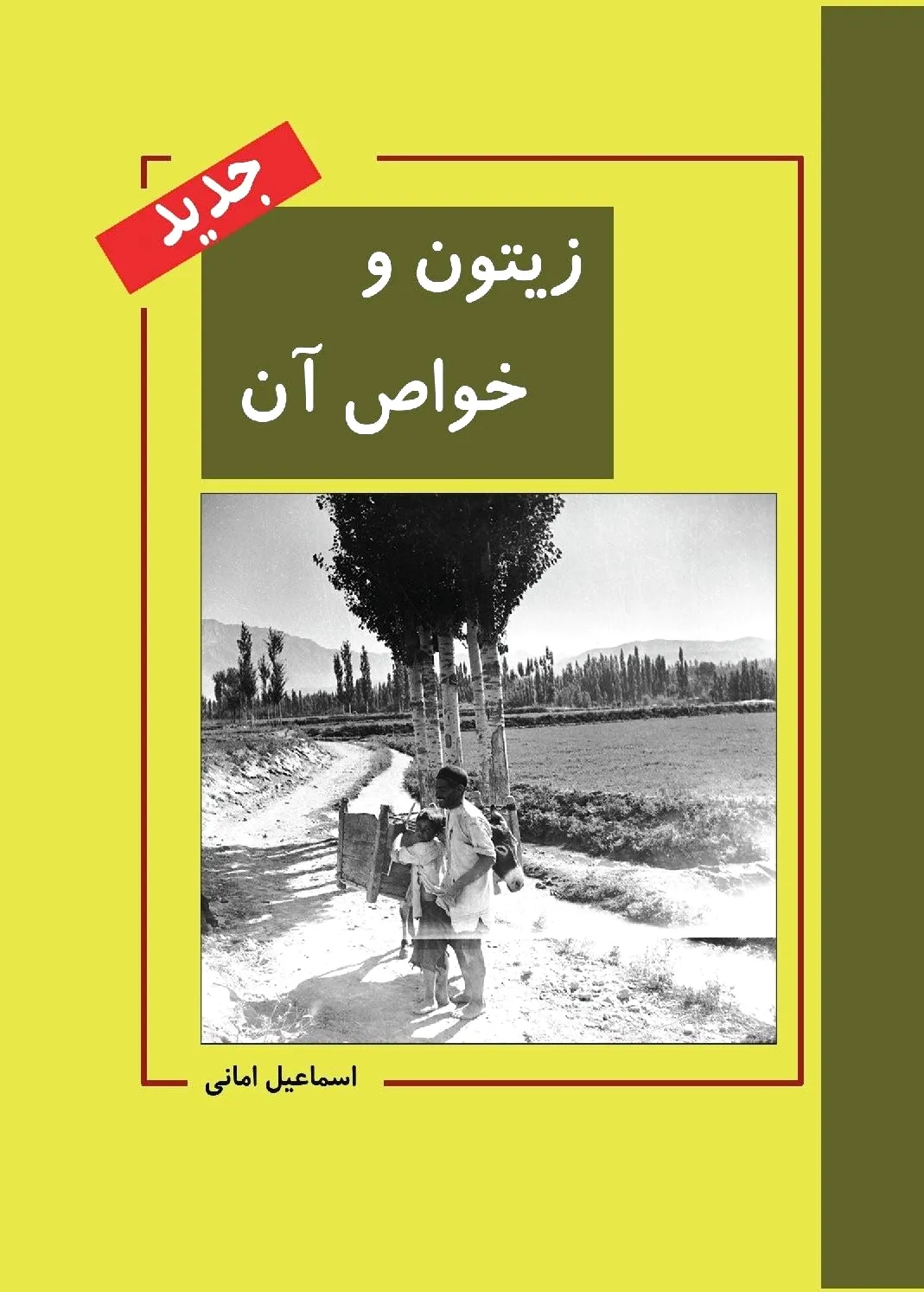 زیتون و خواص آن