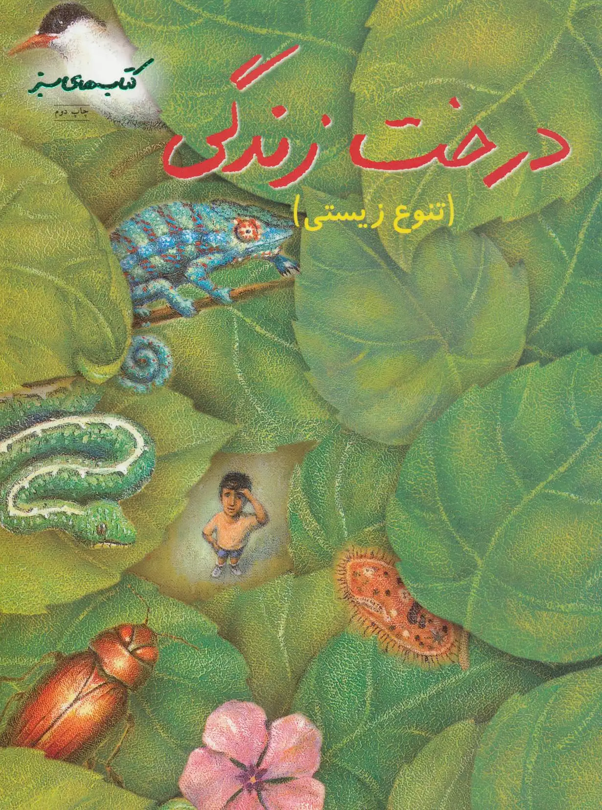 درخت زندگی