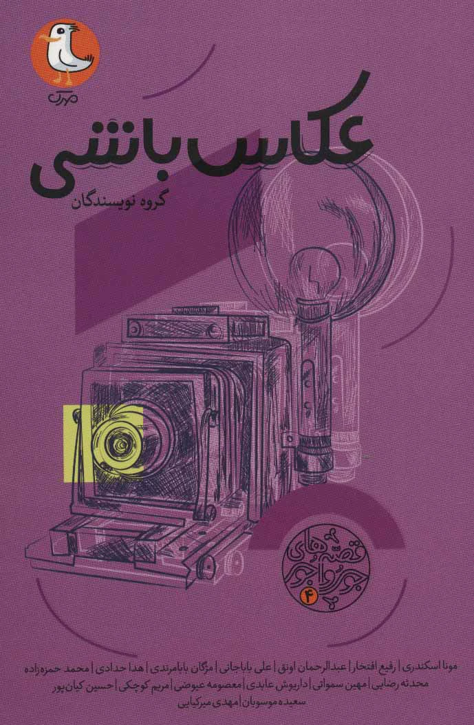 عکاس باشی