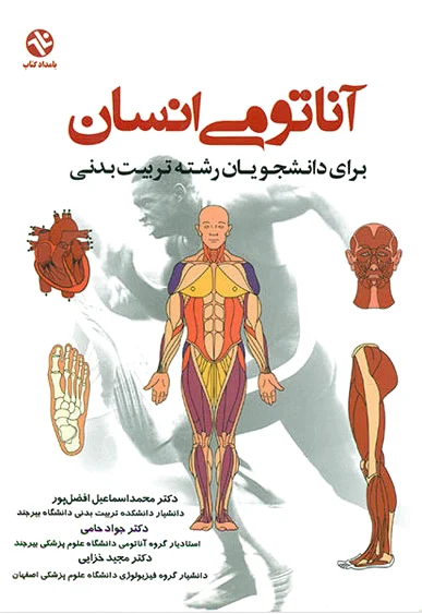 آناتومی انسان