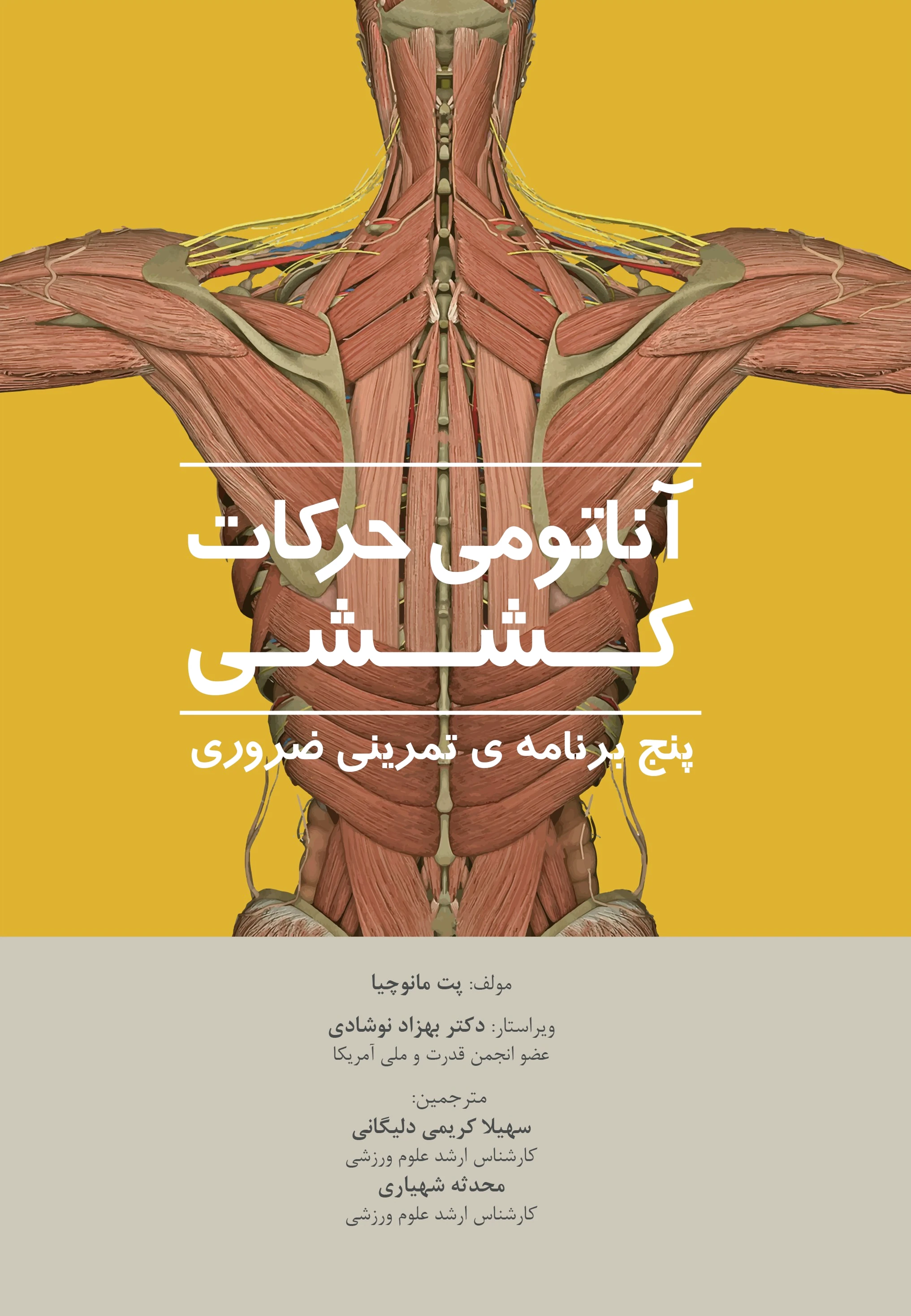 آناتومی حرکات کششی