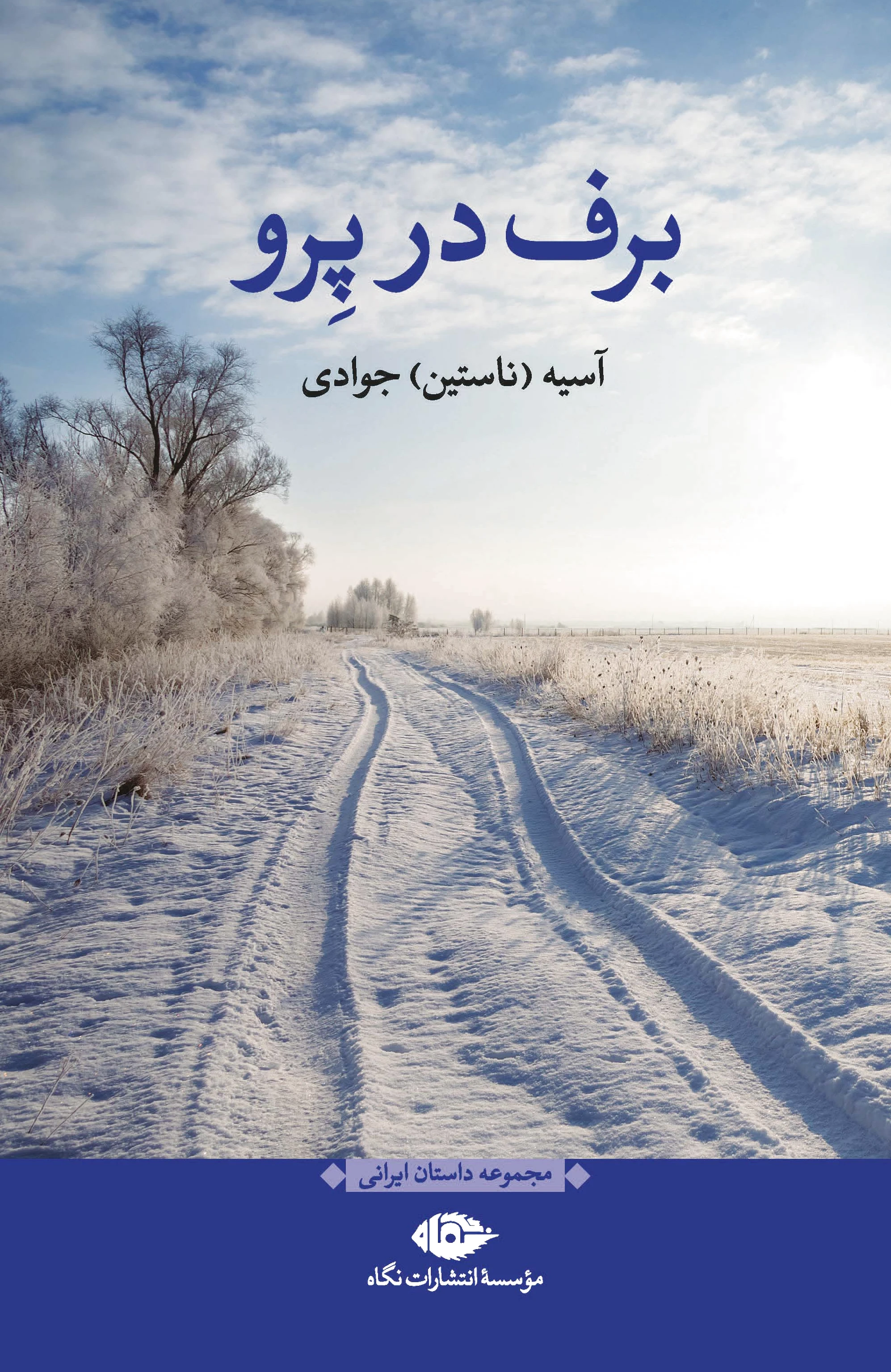 برف در پرو