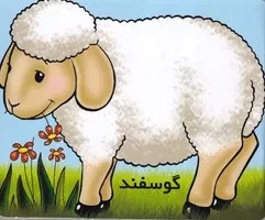 گوسفند
