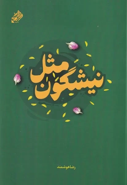 مثل نیشگون