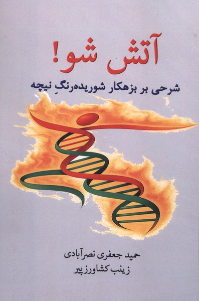 آتش شو