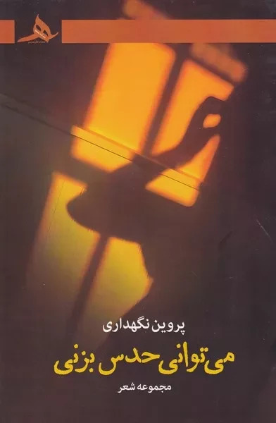 می توانی حدس بزنی