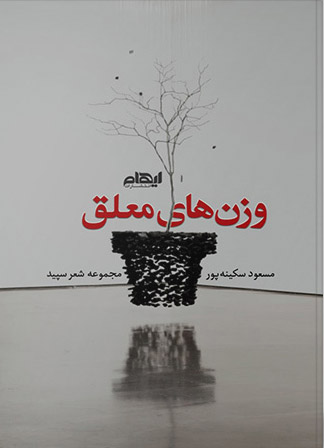 وزن های معلق