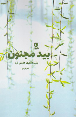بید و مجنون