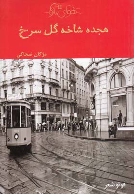 هجده شاخه گل سرخ