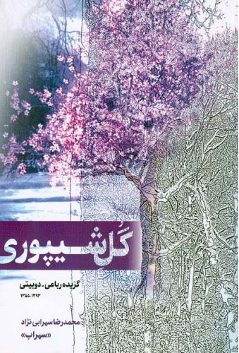 گل شیپوری