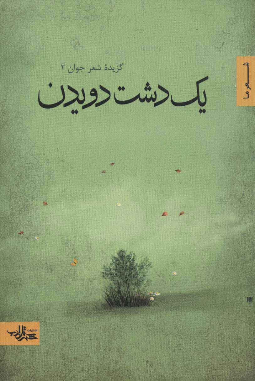 یک دشت دویدن