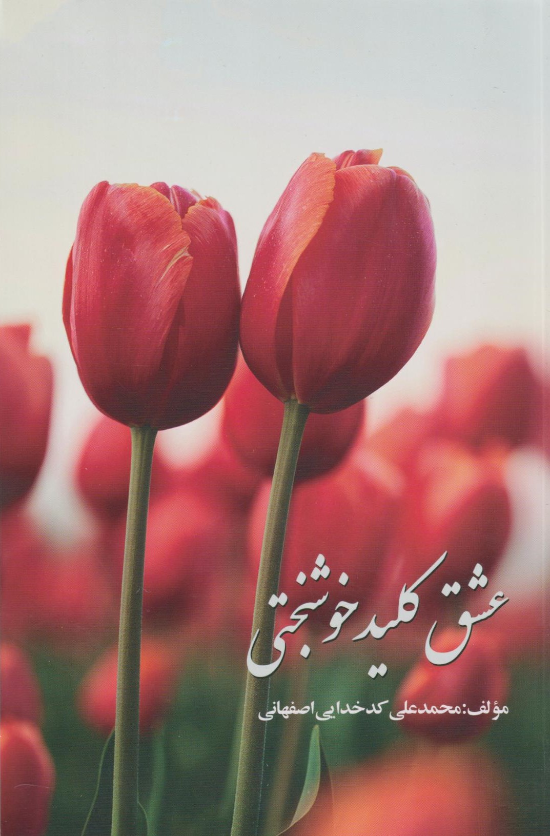 عشق کلید خوشبختی