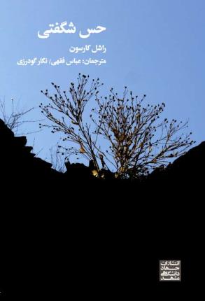 حس شگفتی