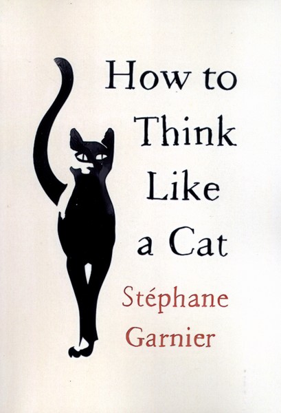 How to Think Like a Cat