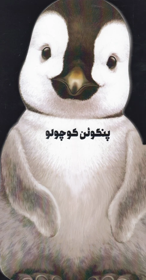 پنگوئن کوچولو