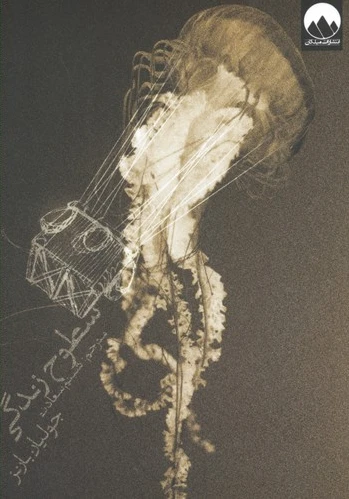 سطوح زندگی